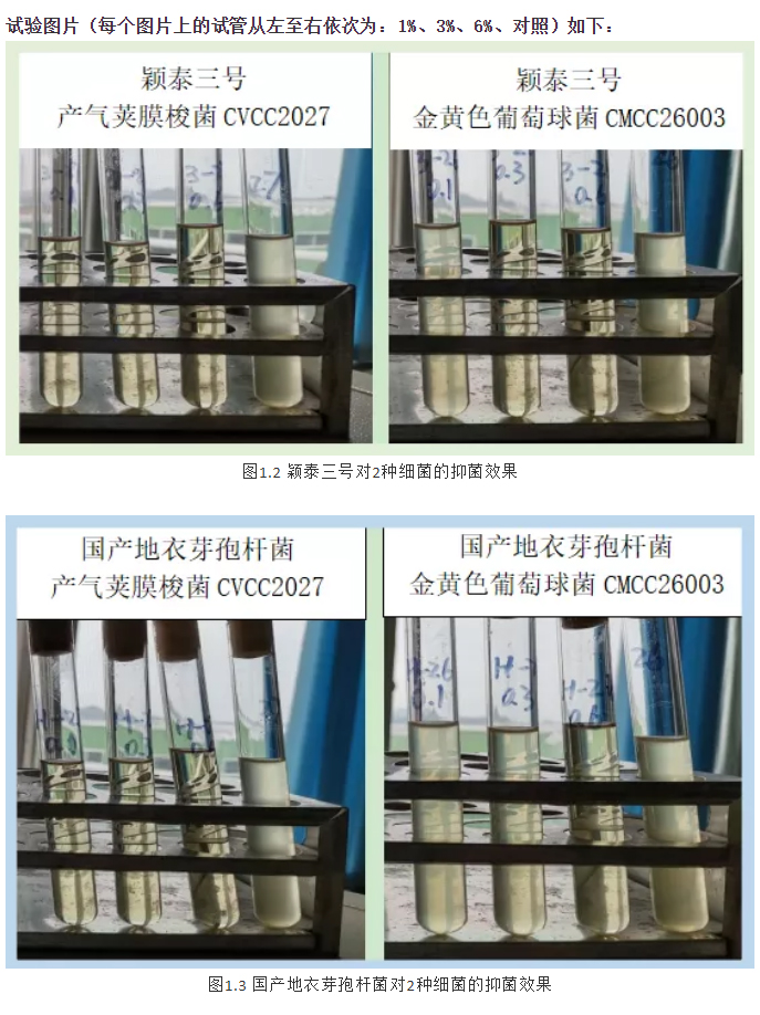 實(shí)驗室簡(jiǎn)明評估穎泰三號抑菌效果報告_02