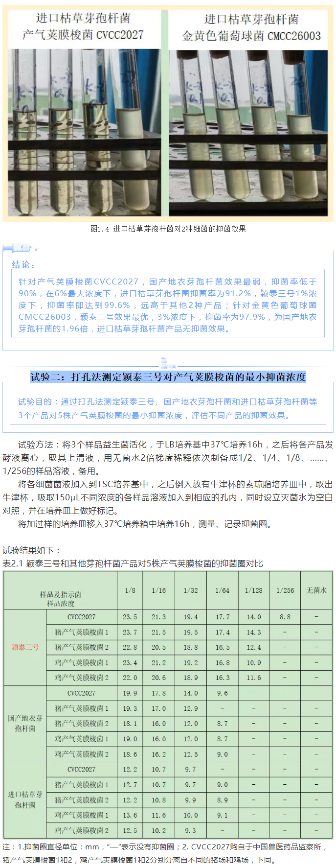 實(shí)驗室簡(jiǎn)明評估穎泰三號抑菌效果報告_03