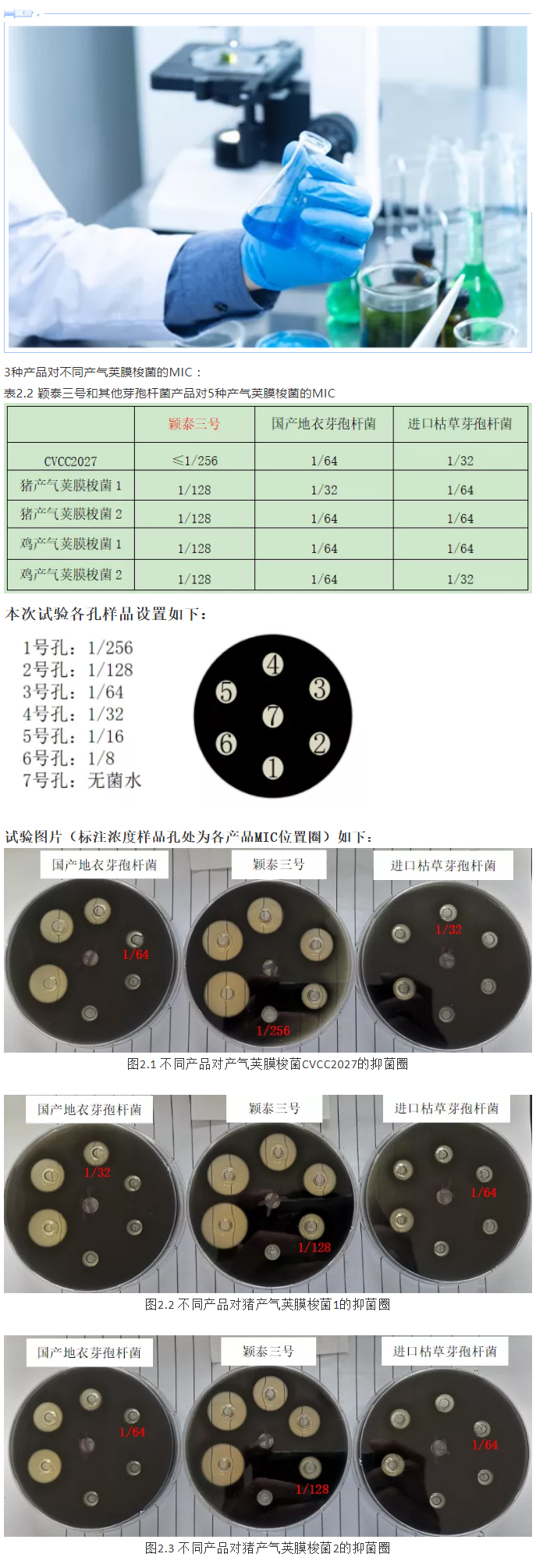 實(shí)驗室簡(jiǎn)明評估穎泰三號抑菌效果報告_04