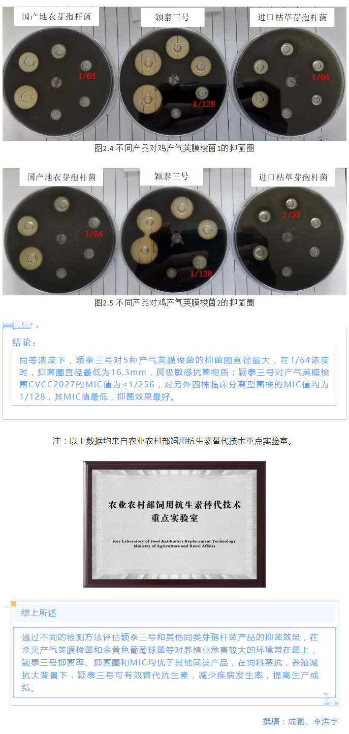 實(shí)驗室簡(jiǎn)明評估穎泰三號抑菌效果報告_05