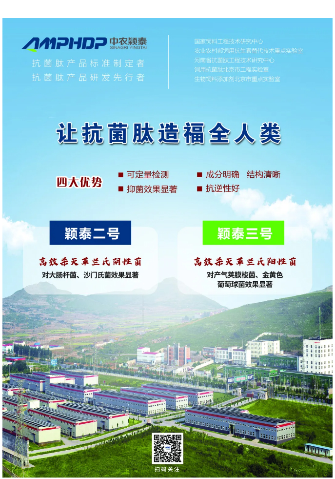 實(shí)驗室簡(jiǎn)明評估穎泰三號抑菌效果報告_06