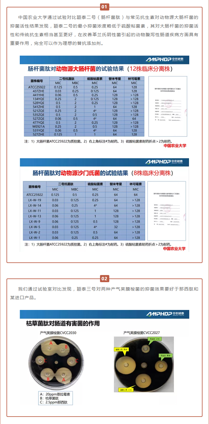 中農穎泰-助力河南省飼料工業(yè)協(xié)會(huì )2021年度峰會(huì )_03