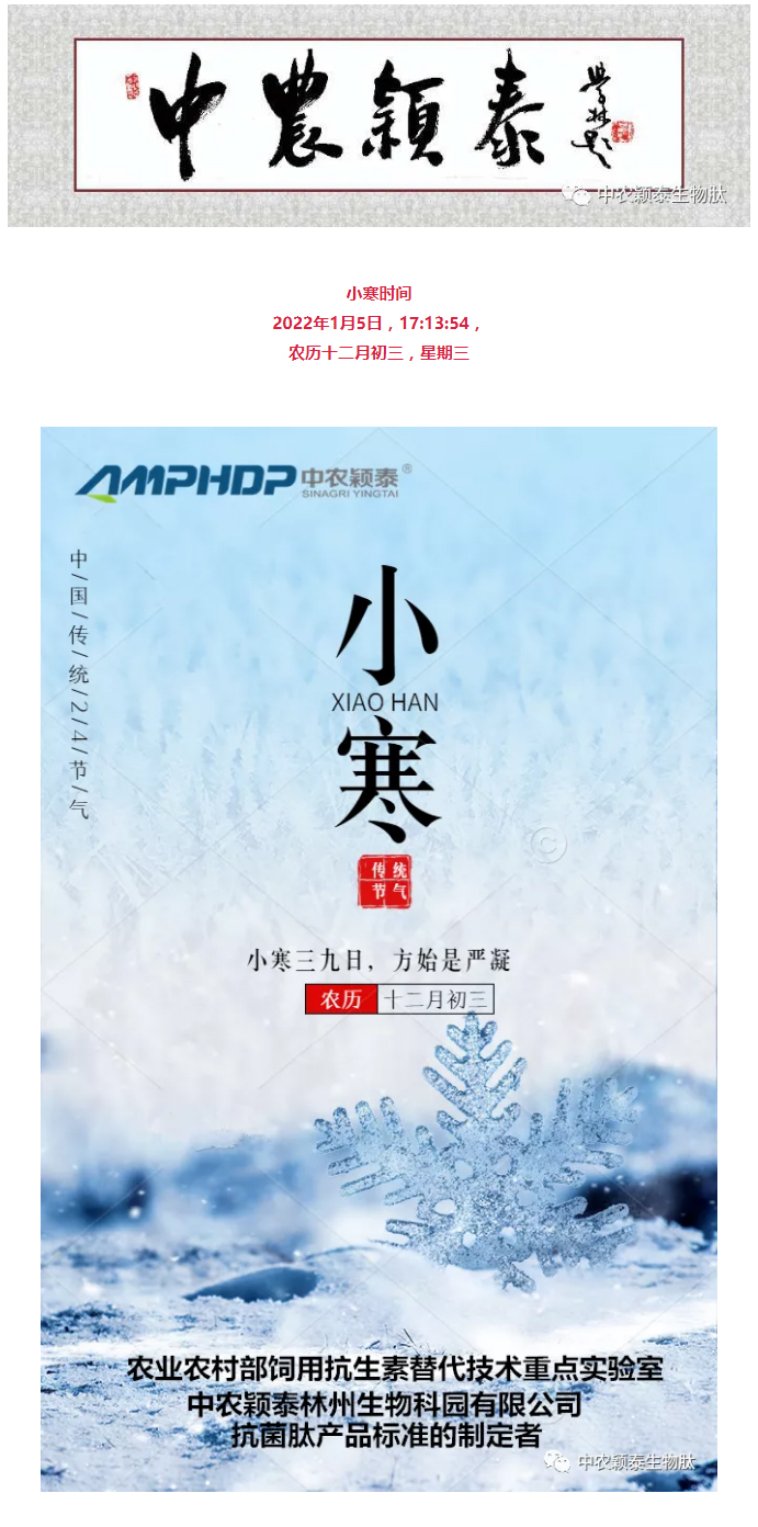 2022年（第2期）：小寒今日至，年味已冒頭_01