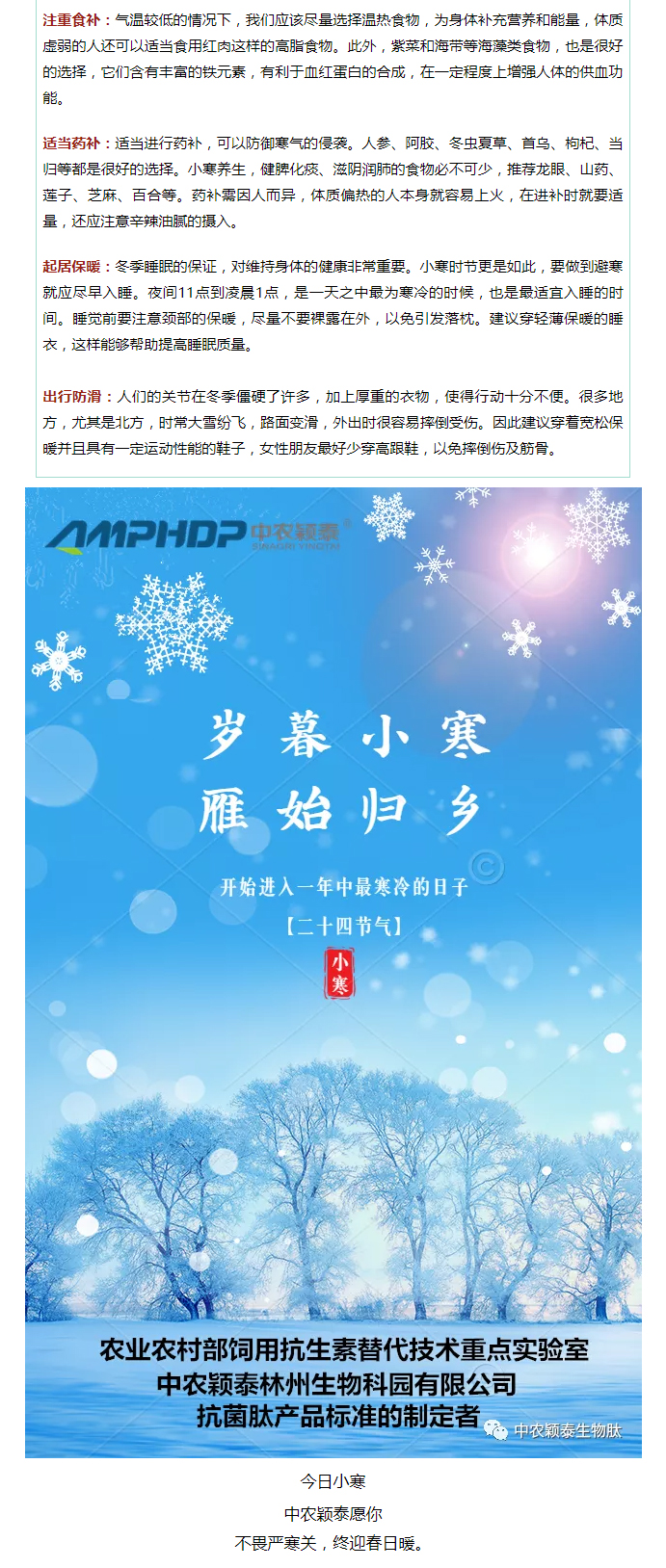 2022年（第2期）：小寒今日至，年味已冒頭_04