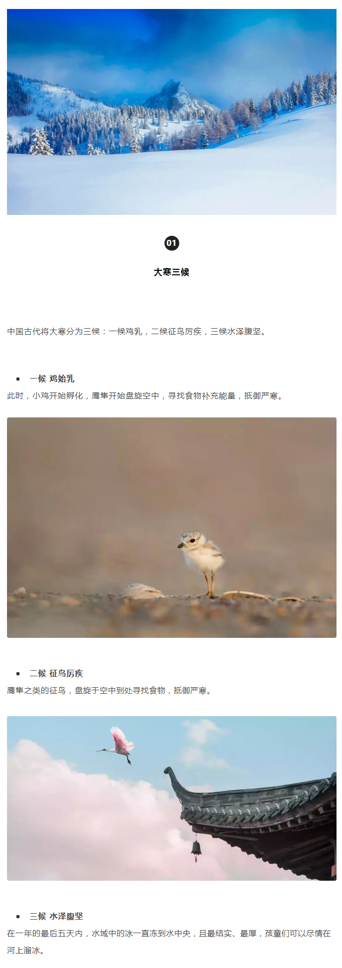 2022年（第5期）：大寒：愿您安暖幸福，歲歲平安_02