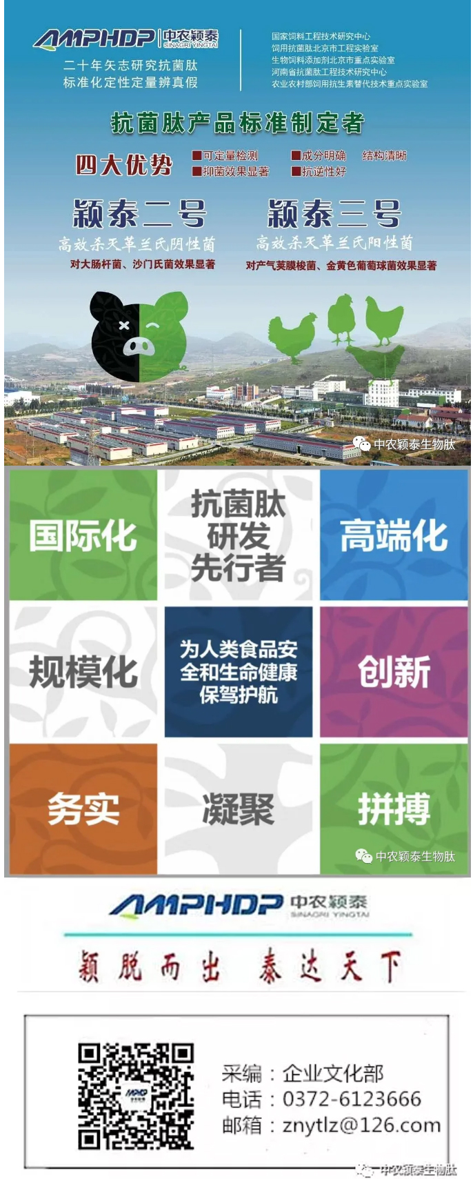 2022年（第5期）：大寒：愿您安暖幸福，歲歲平安_08