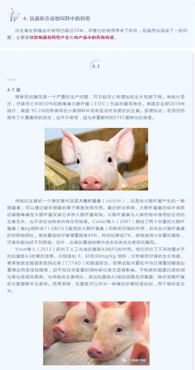 抗菌肽作為替抗飼料添加劑對動(dòng)物生產(chǎn)、食品安全和公共衛生影響的綜述（下）_01
