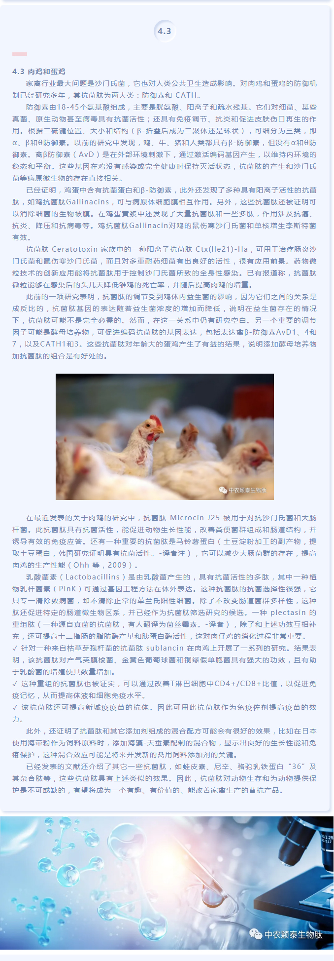 抗菌肽作為替抗飼料添加劑對動(dòng)物生產(chǎn)、食品安全和公共衛生影響的綜述（下）_03