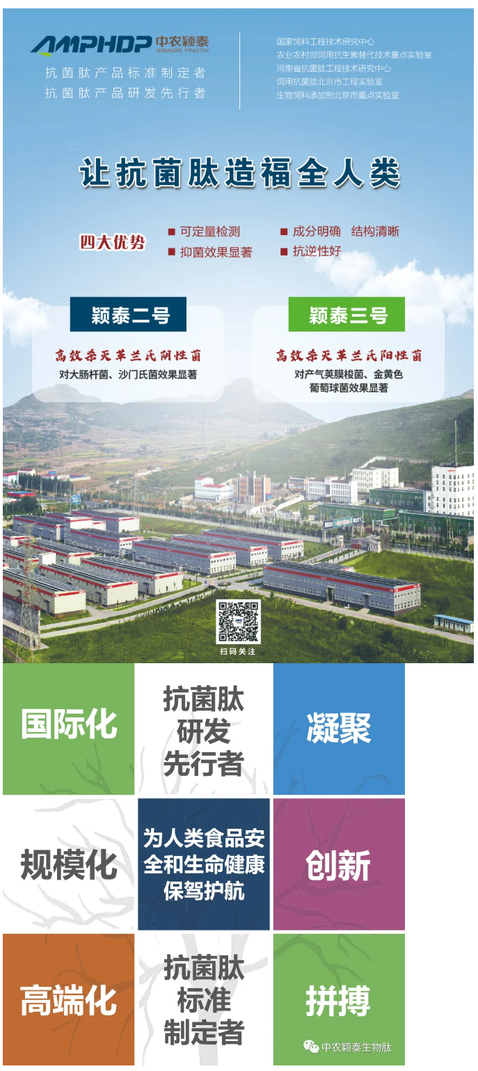 抓住歷史機遇-契合政策導向-再創(chuàng  )穎泰輝煌--中農穎泰添加劑2022年銷(xiāo)售動(dòng)員大會(huì )召開(kāi)_04