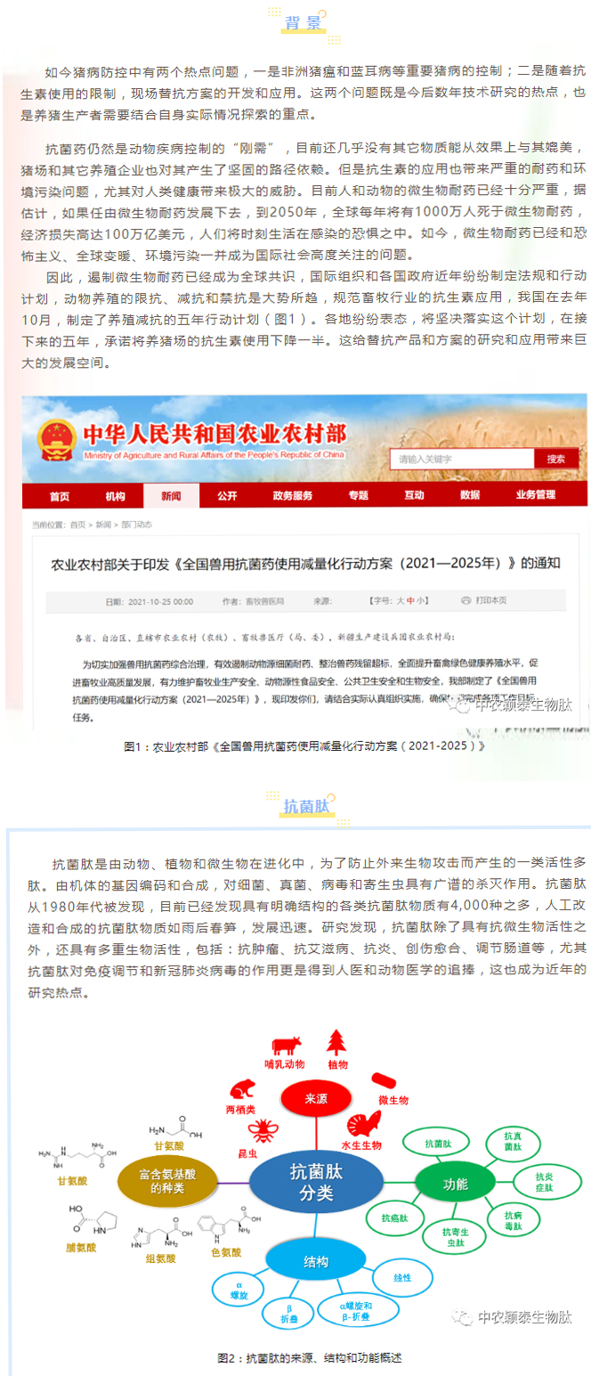 淺談抗菌肽添加劑在養豬現場(chǎng)的應用_01
