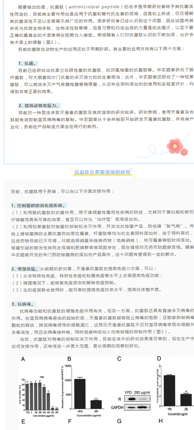 淺談抗菌肽添加劑在養豬現場(chǎng)的應用_02