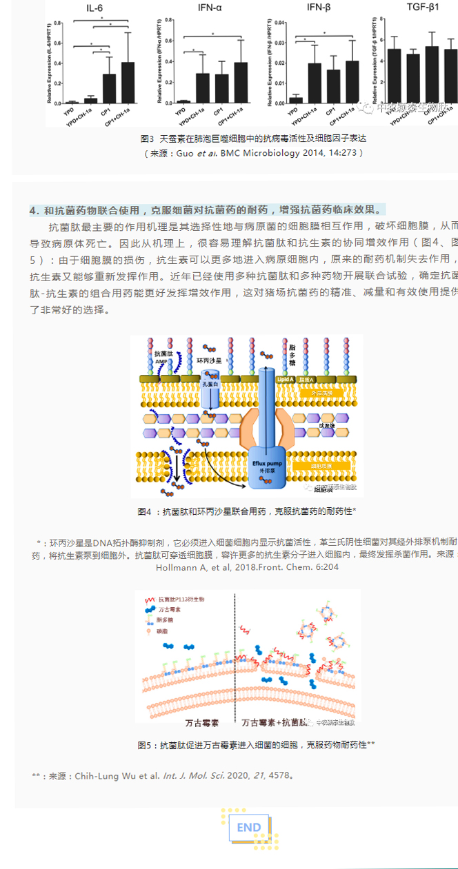 淺談抗菌肽添加劑在養豬現場(chǎng)的應用_03