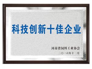 科技創(chuàng  )新十佳企業(yè)