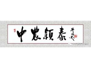 2021年：工作動(dòng)態(tài)，中農穎泰工會(huì )順利換屆