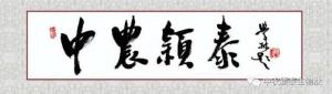 喜訊快遞 | 中農穎泰成功入選河南省優(yōu)質(zhì)企業(yè)備投項目庫