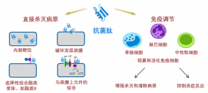 泰倍健——新型免疫增強劑，構建核心抗病力